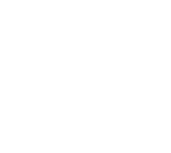 VERSI Construction logo